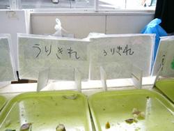 うりきれと書かれた札がはられたバットの写真