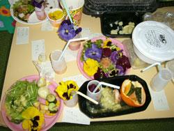盛り付けられた料理の完成写真