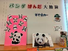 パンダ