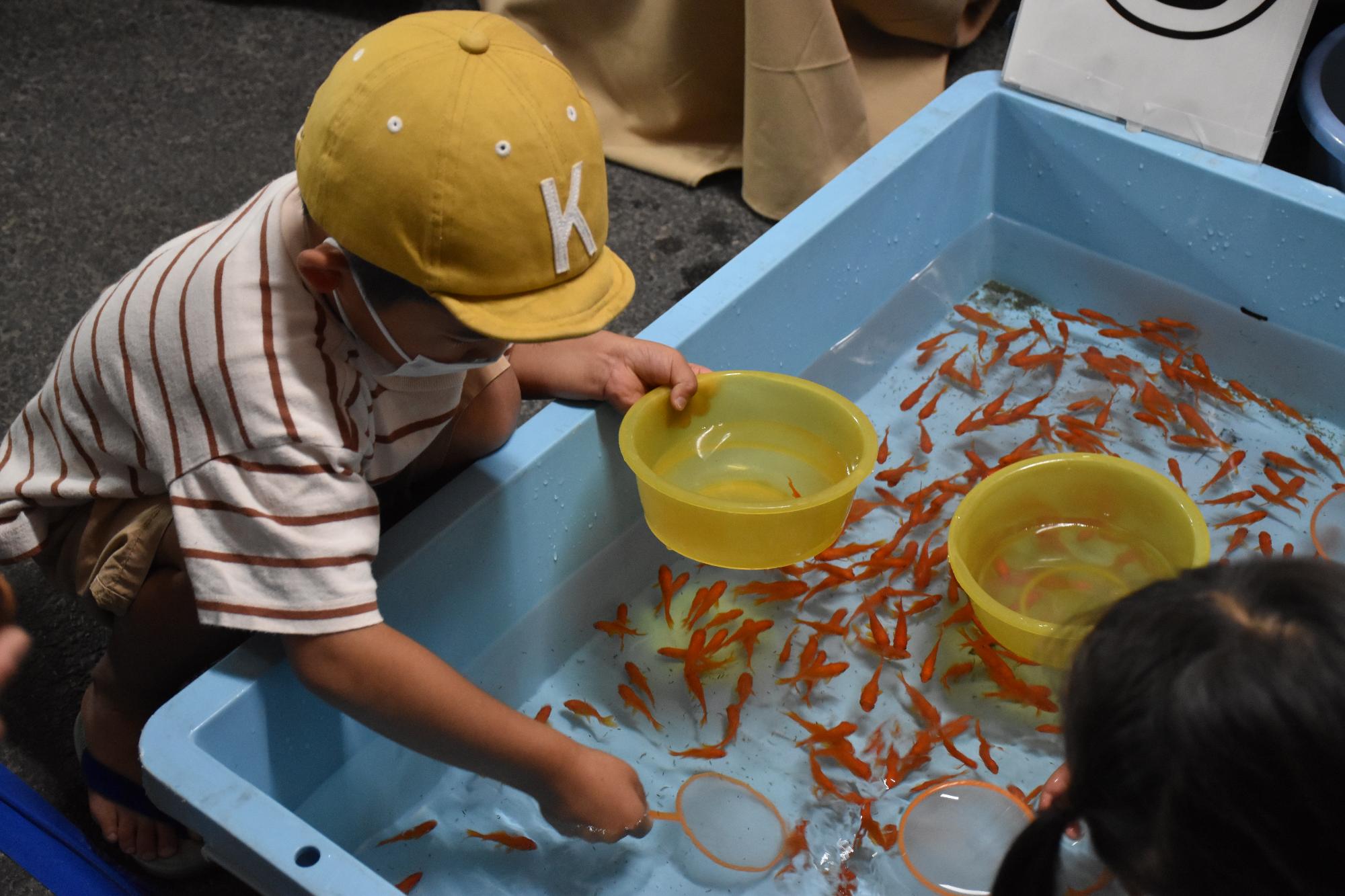 金魚大好きまつりオープニングマッチの様子