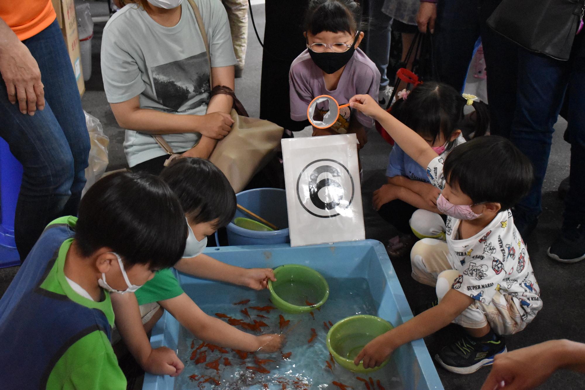 金魚大好きまつりオープニングマッチの様子