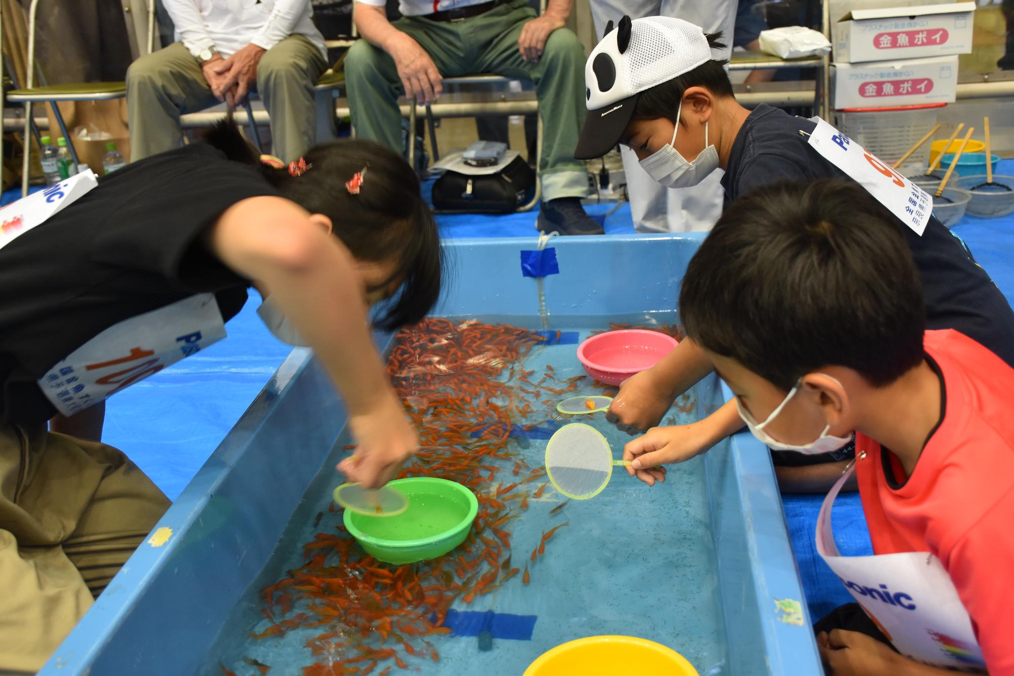第27回全国金魚すくい選手権奈良県大会金魚すくいの様子