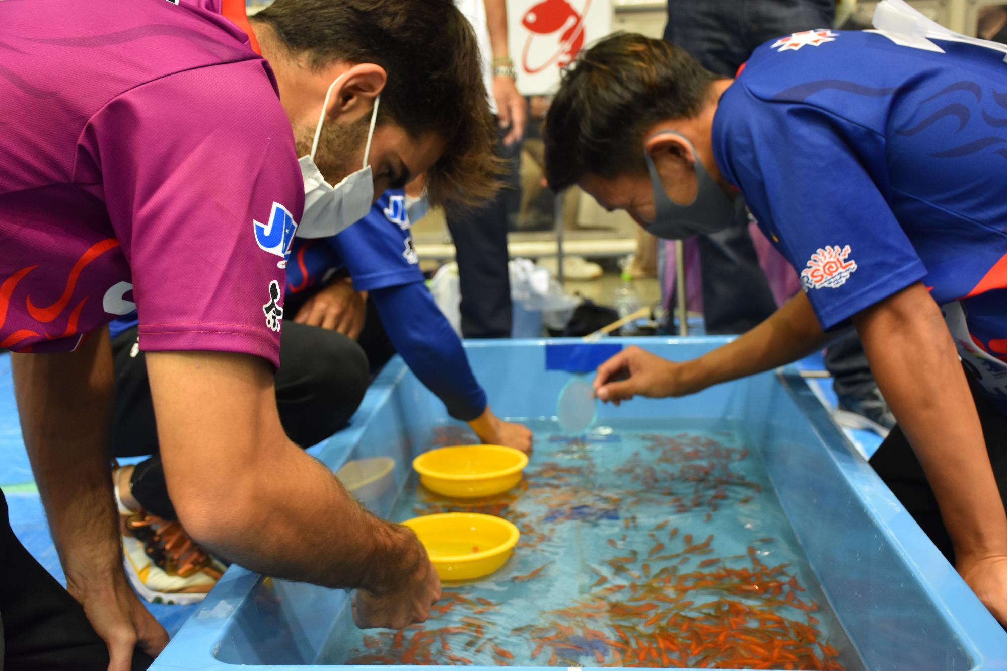 第27回全国金魚すくい選手権奈良県大会金魚すくいの様子