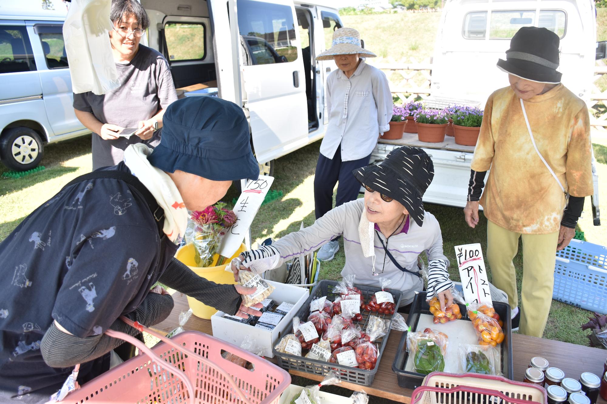 郡山市の日でお買い物をする女性