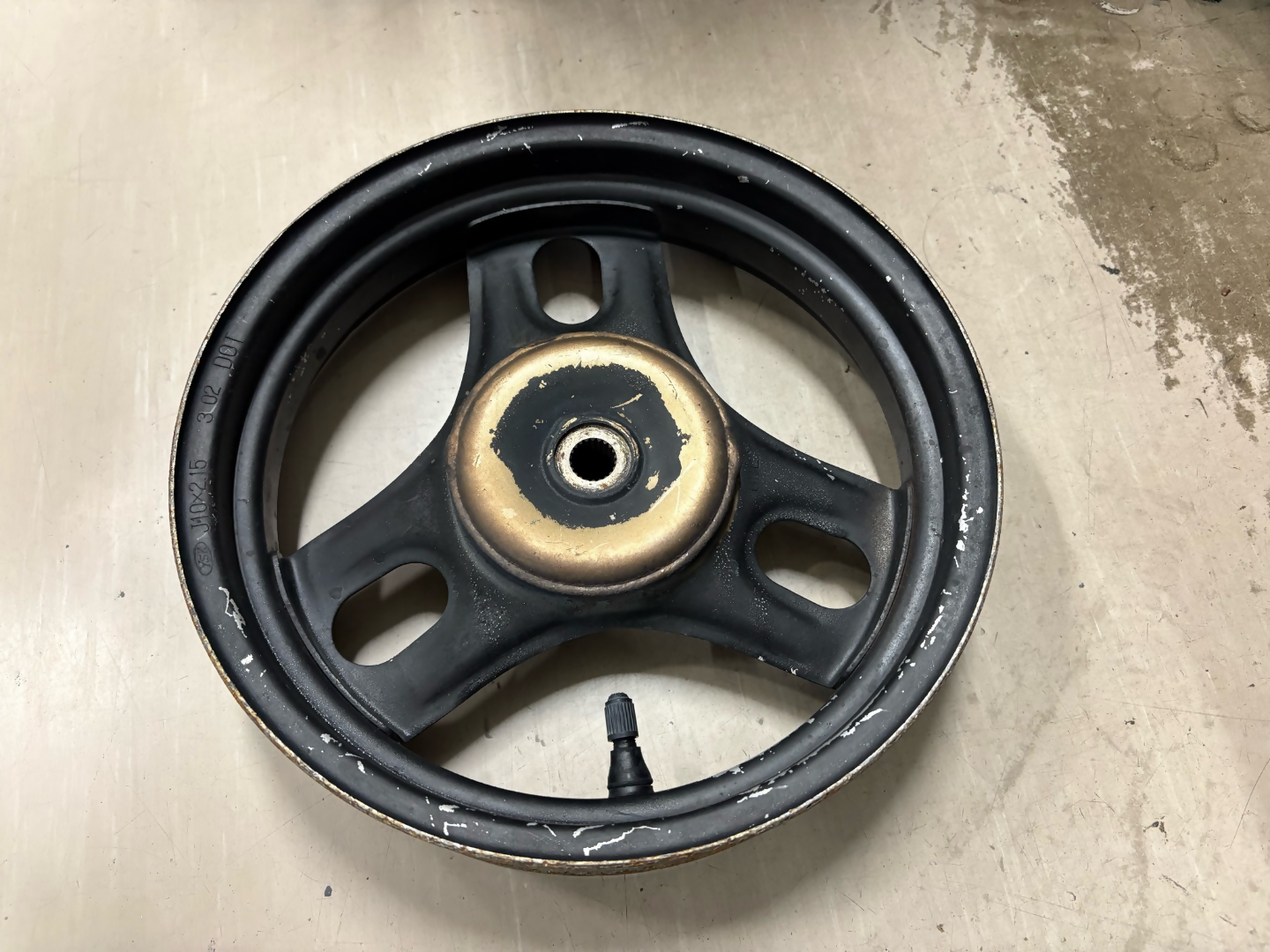 片桐西小学校の生徒が集めたゴミ