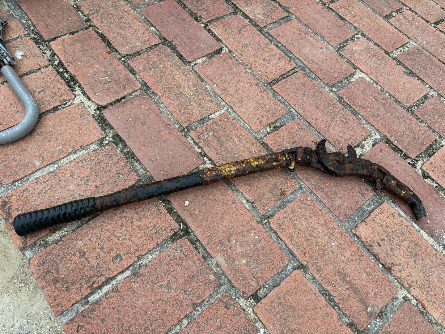 片桐西小学校の生徒が集めたゴミ