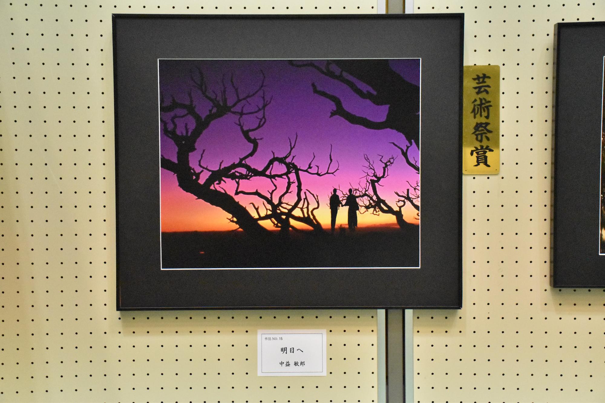 第72回大和郡山市芸術祭 写真の部の芸術祭賞