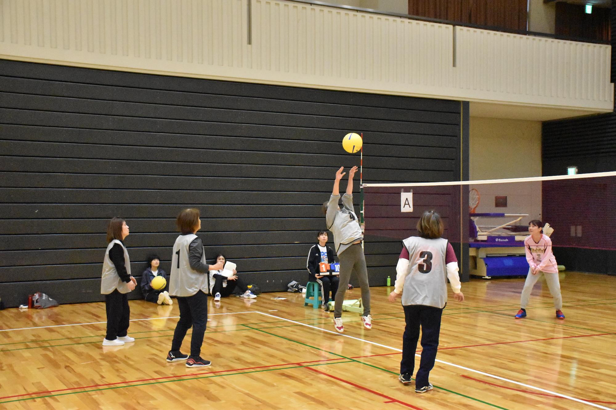 自治会ソフトバレーボールでトスを上げる女性