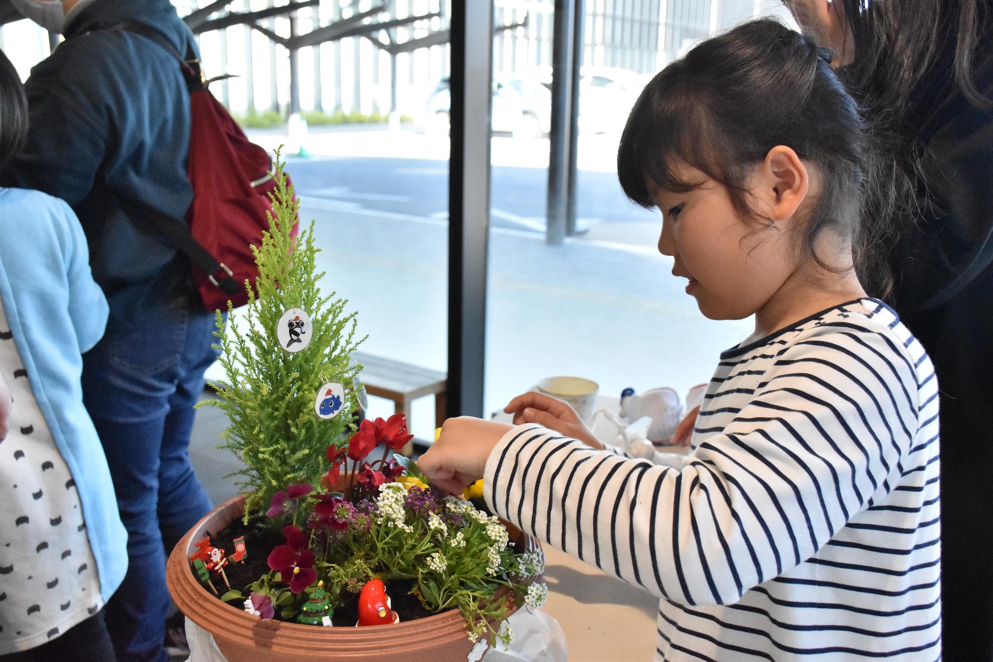 金魚マイスタークリスマススペシャルイベント2025で寄植えを楽しむ子ども
