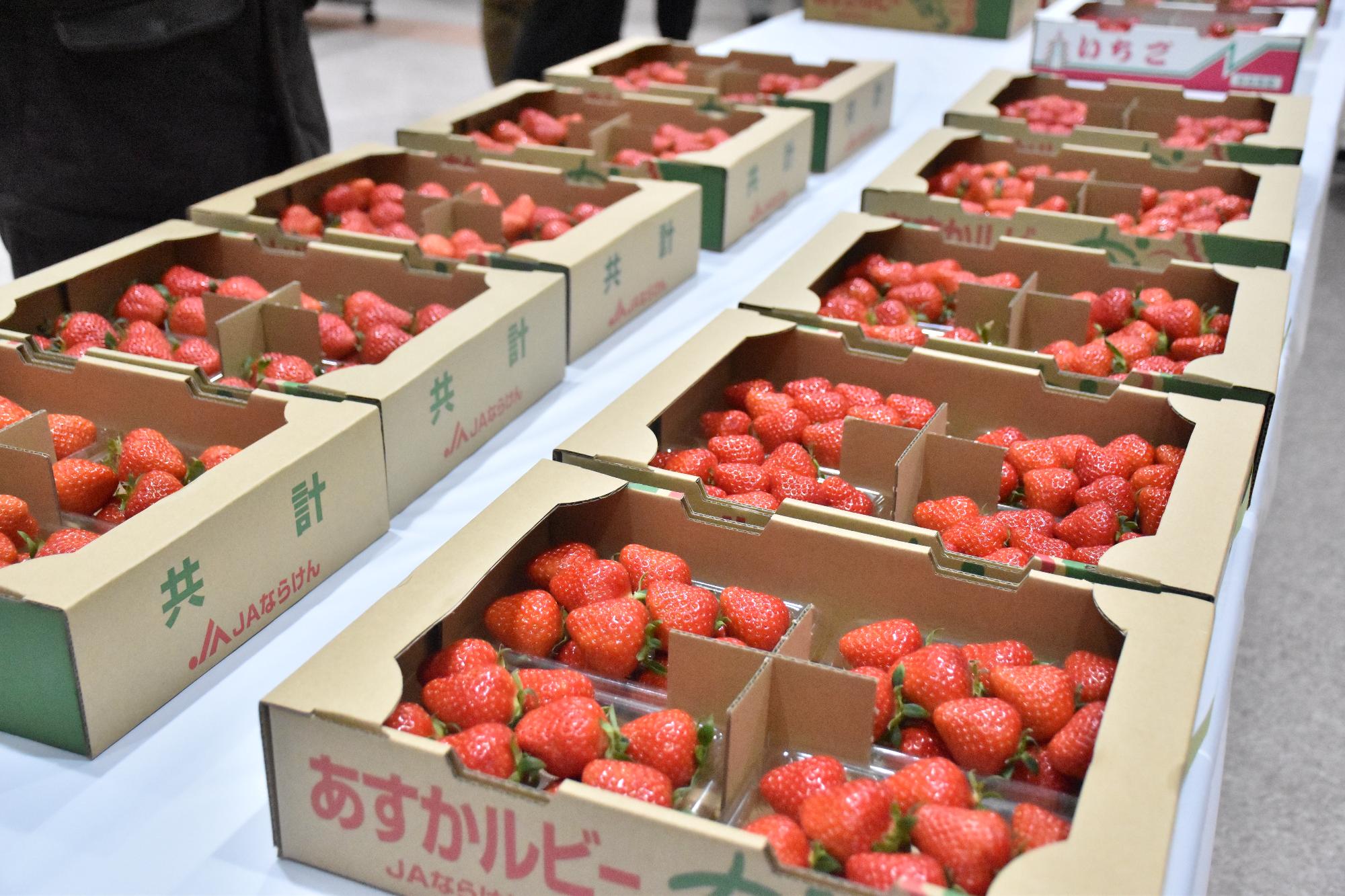 イチゴ果実品評会で出品されたイチゴ