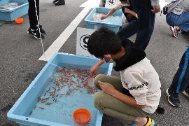 金魚をすくう少年