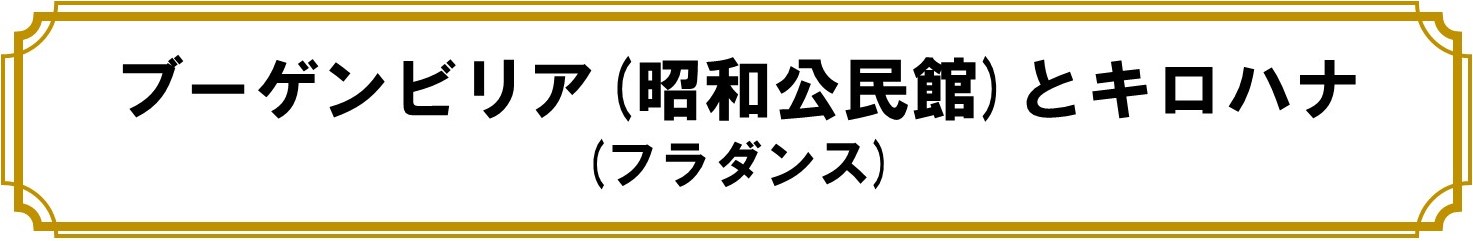 ブーゲンビリア（昭和公民館）とキロハナ（フラダンス）