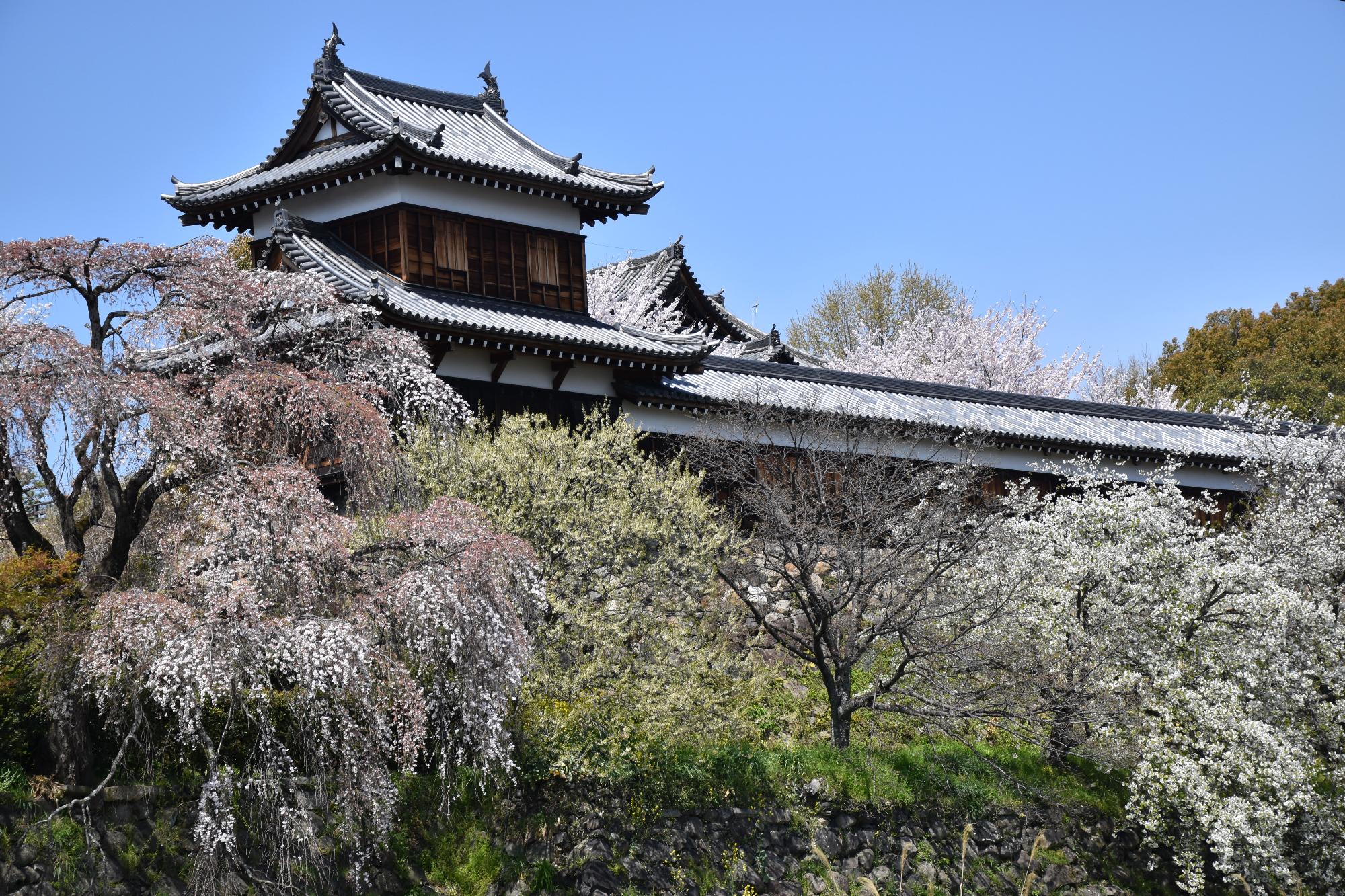 郡山城跡（東多聞櫓）
