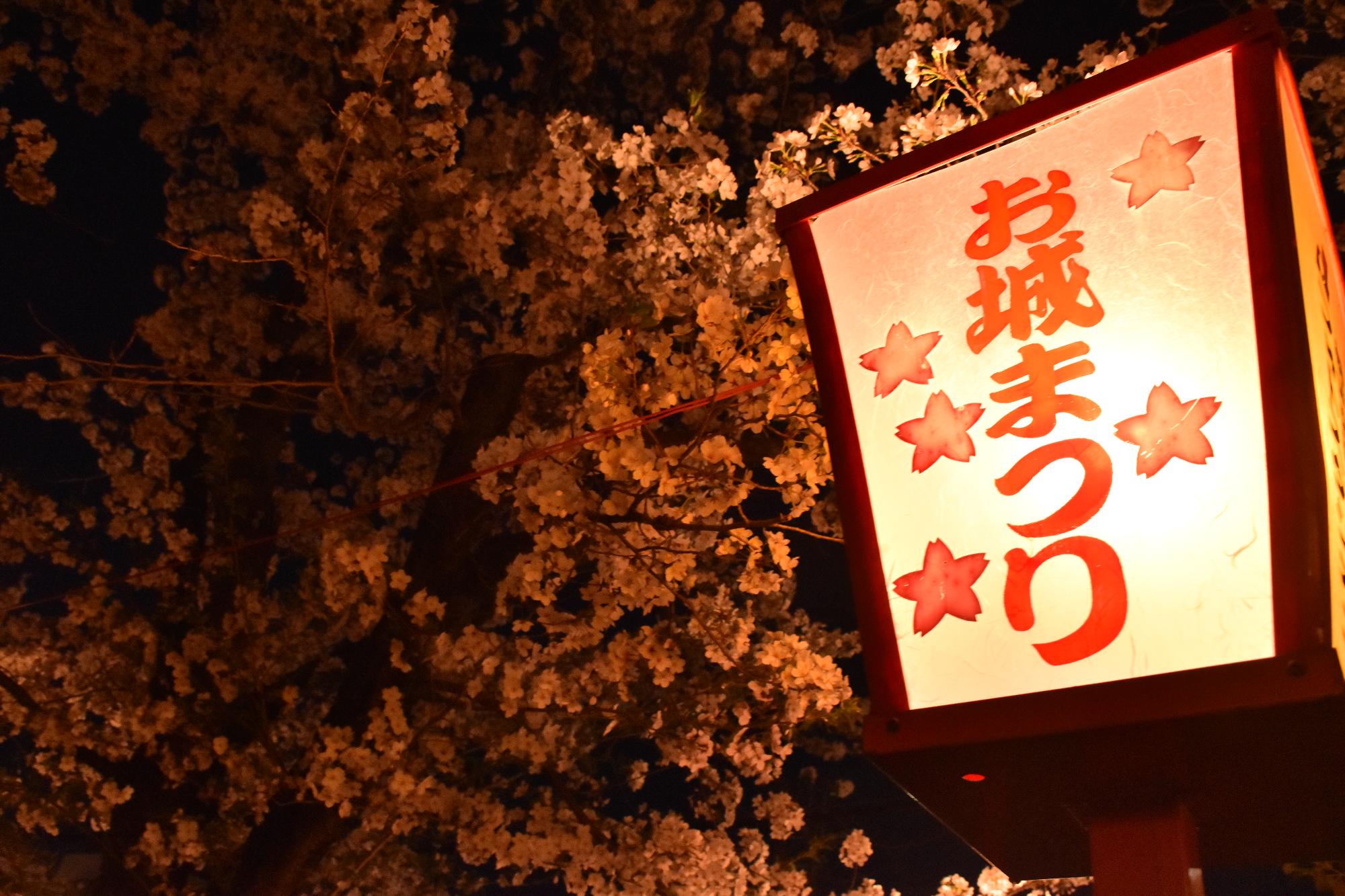 お城まつりのぼんぼりと夜桜