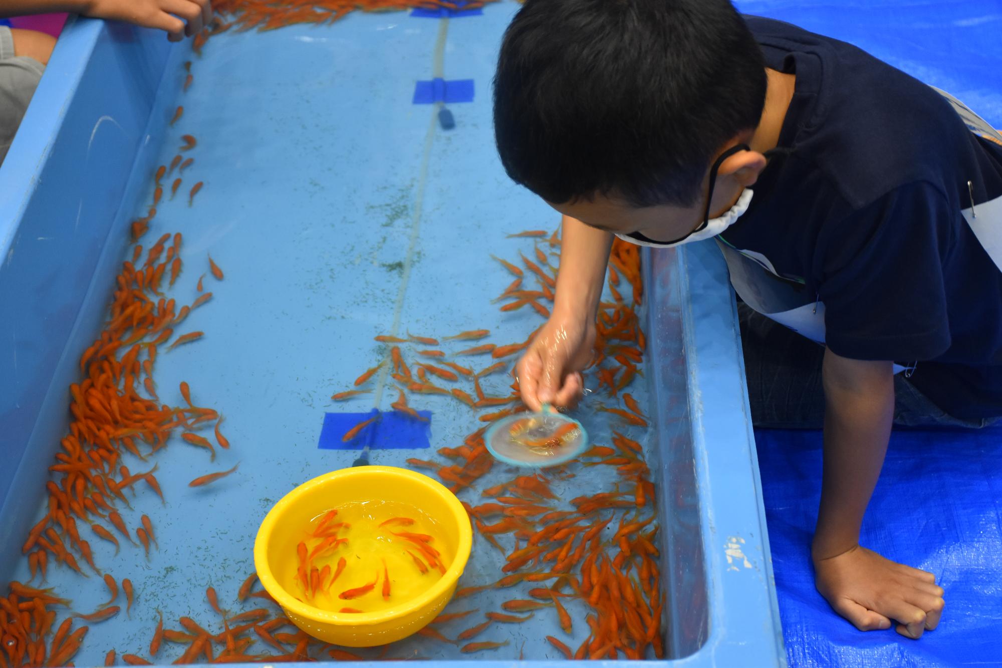 全国金魚すくい選手権大会の様子