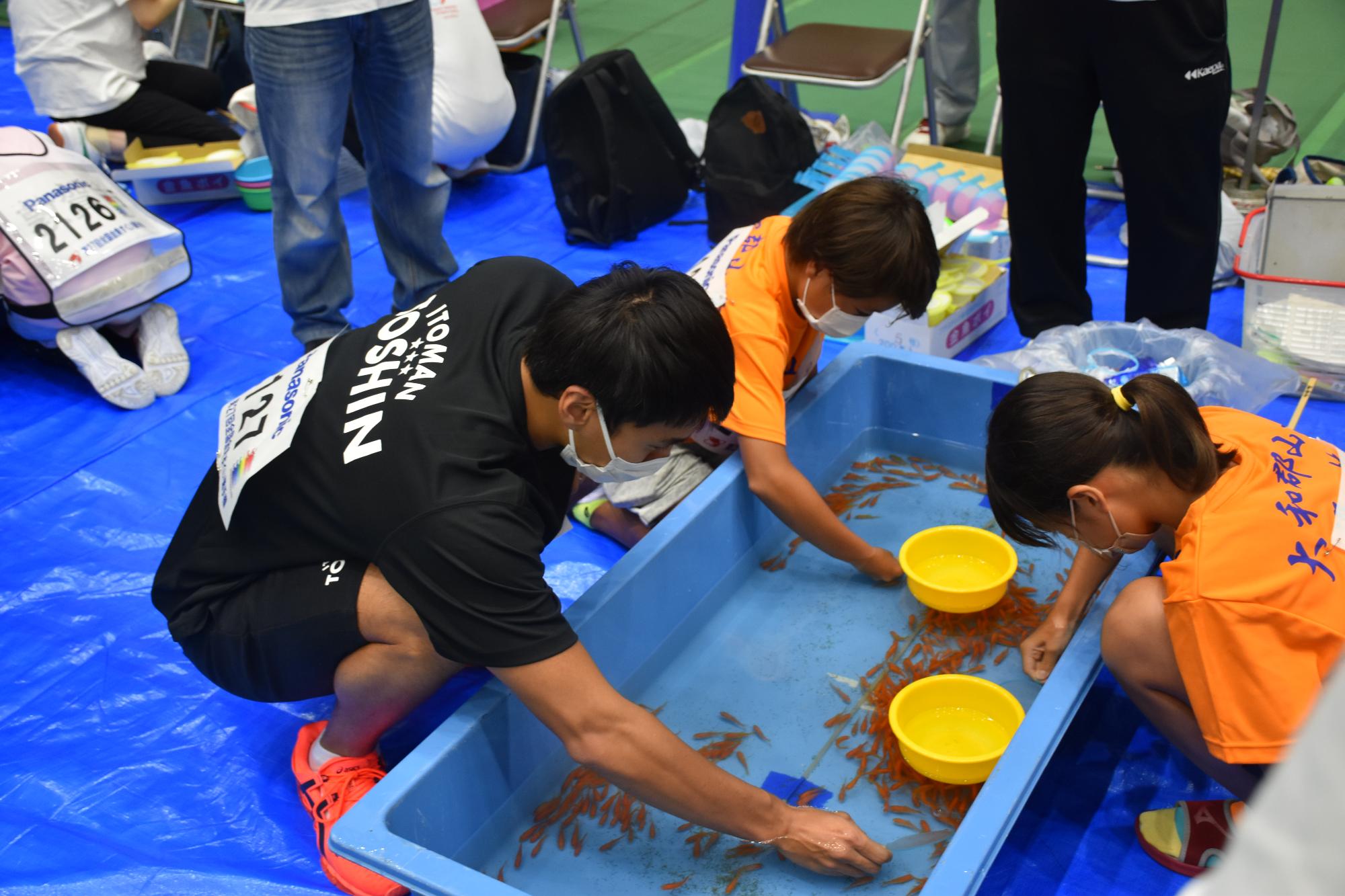 全国金魚すくい選手権大会の様子