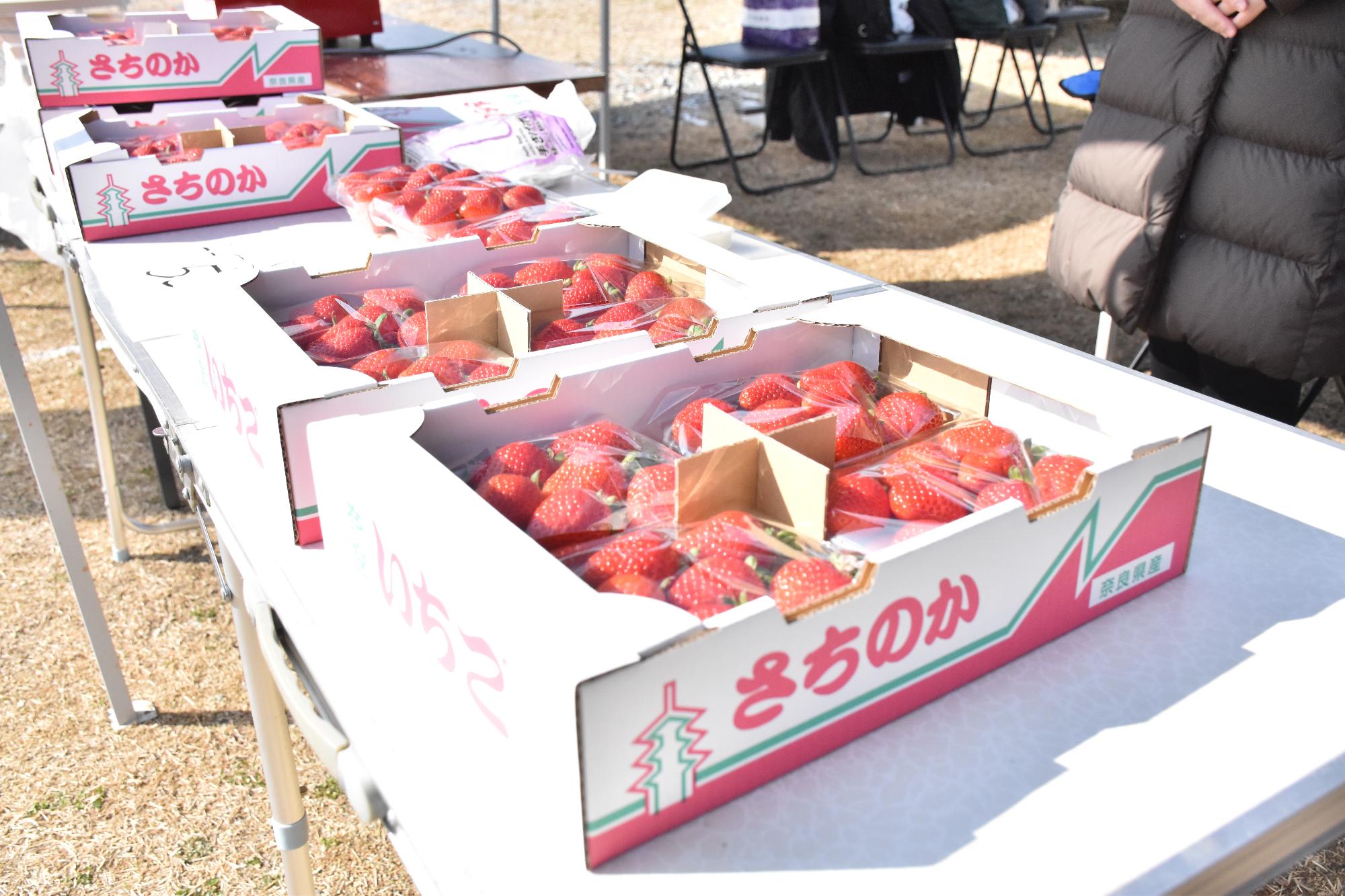 郡山・市の日で販売されているいちご