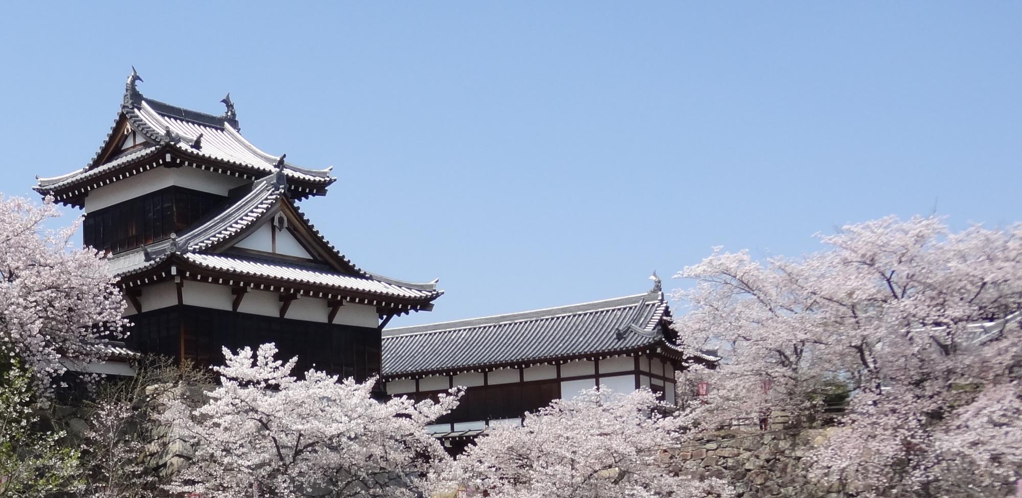 「郡山城～続日本100名城・日本さくら名所100選～」のヘッダー写真。写真には大和郡山城の追手門と追手向櫓、および満開の桜の木々が確認できる