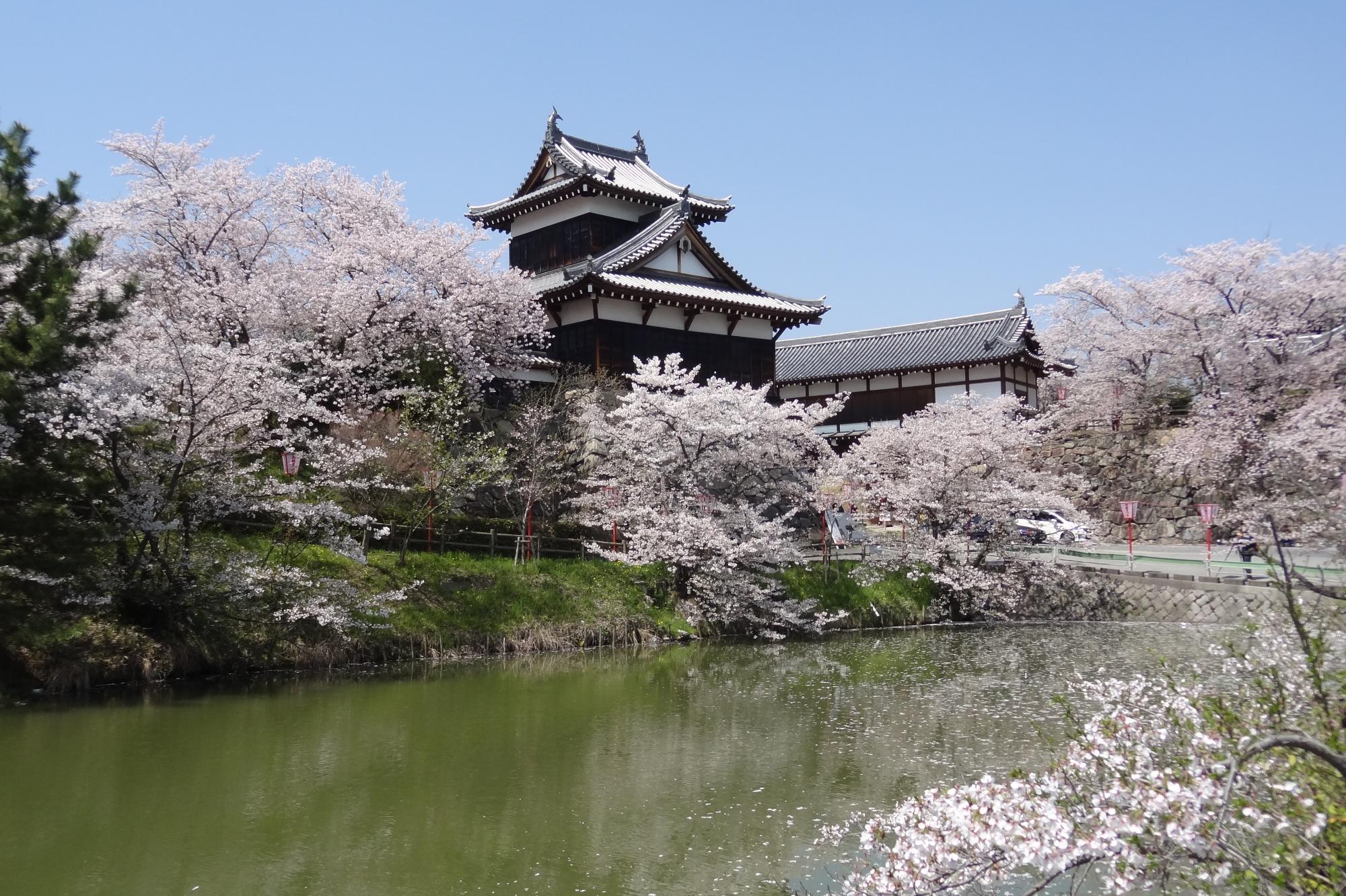 郡山城跡（追手門・追手向櫓）