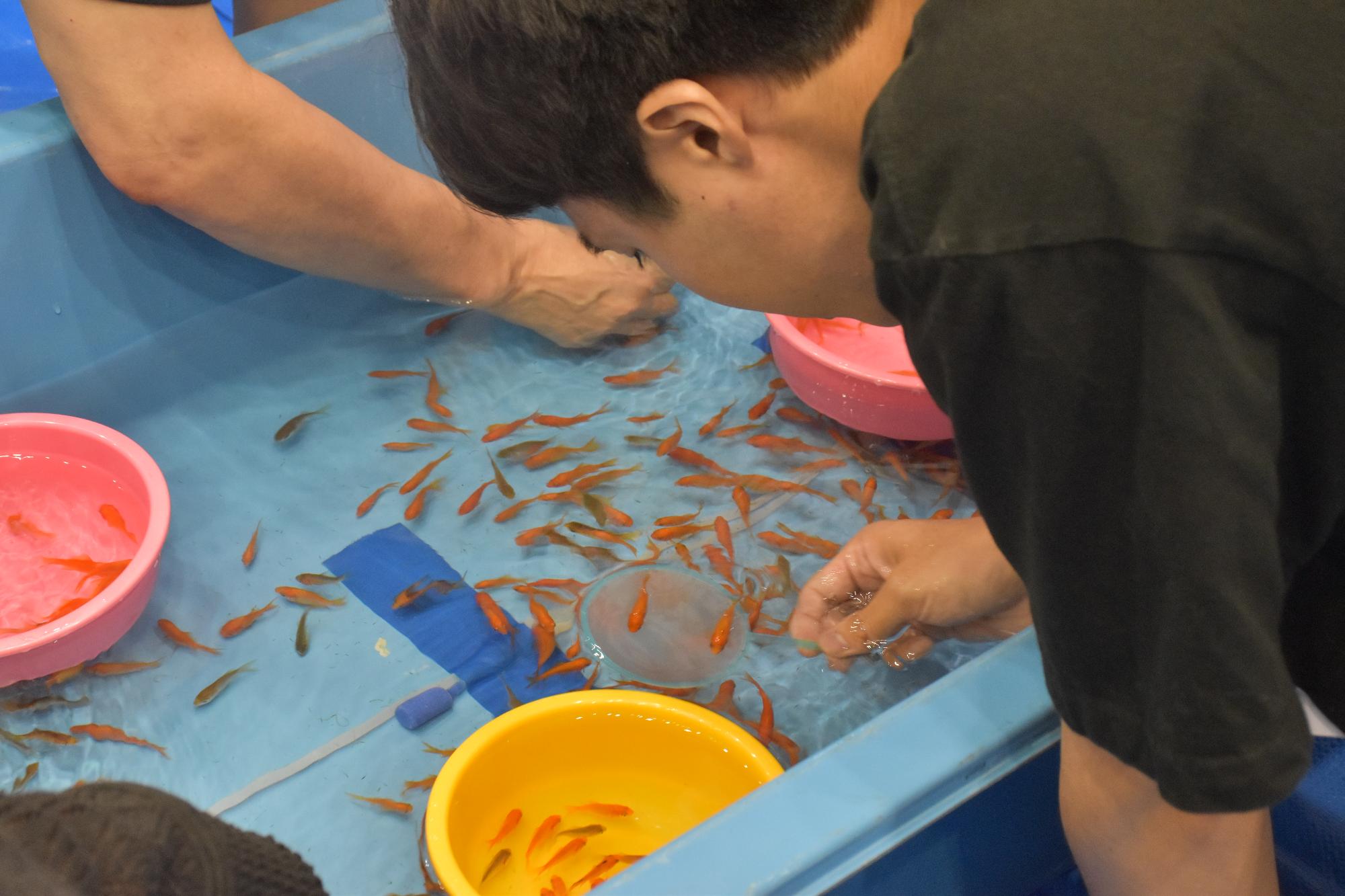 金魚すくい大会の様子