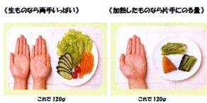 生野菜120グラムとゆで野菜120グラムがそれぞれ手で何杯分かを示した写真。生ものなら両手いっぱい、加熱したものなら片手にのる量と説明されている