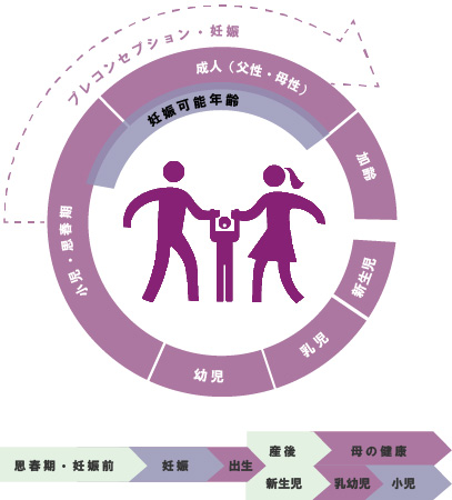 生涯のうちのプレコンセプションケアの位置づけ