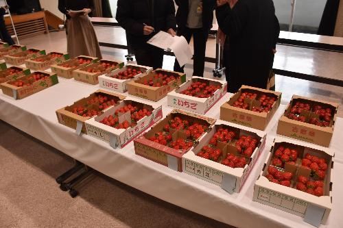 イチゴ審査の画像
