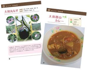 知場食材を使ったレシピ集の大和丸なすと大和郡山カレーのページの画像