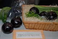 大和野菜の展示コーナーの写真