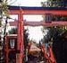 源九郎稲荷神社の入り口付近の写真。鳥居の向こうに拝殿が確認できる