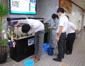 市役所職員たちによる金魚水槽の清掃作業風景の写真