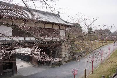 郡山城追手門と開花したソメイヨシノの写真。平成28年3月29日撮影