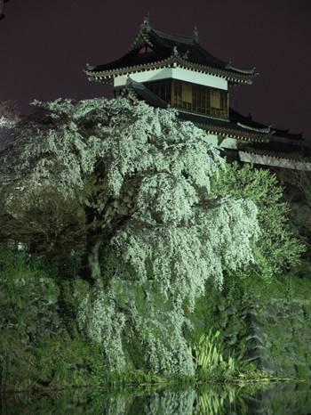 ライトアップされた郡山城東隅櫓と満開の枝垂桜の写真。平成28年3月31日撮影