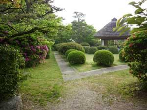 緑豊かな柳沢文庫前庭の写真