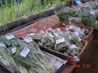カゴに入った旬の野菜が並べられている写真