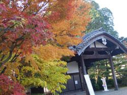紅葉で彩られた木の奥にある柳沢文庫の写真