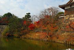 紅葉の樹が風情を漂よわせる郡山城趾の写真
