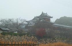朝霧の中ススキに囲まれた追手東隅櫓の写真