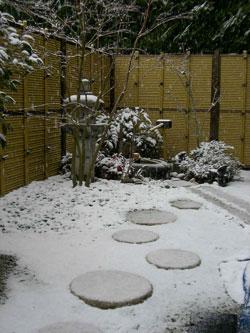 雪の積もった庭の写真
