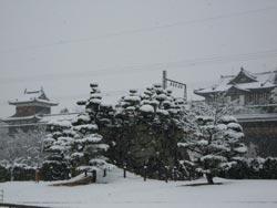 雪の郡山城跡の全景の写真