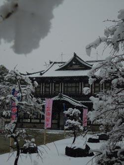 雪景色の城址会館の写真