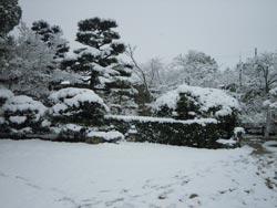 一面雪の柳沢文庫の写真