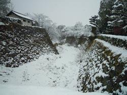 雪の積もった柳沢文庫西側の堀の写真