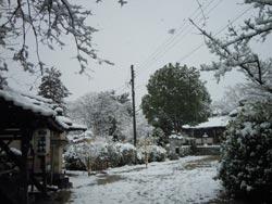 雪景色の柳沢神社の様子の写真