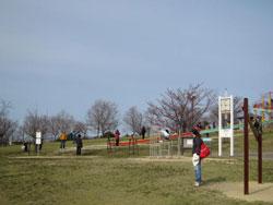 雲のない冬空の元、芝生に点々と人が見られる九条公園の写真