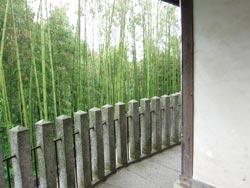 竹林と石の柵の写真