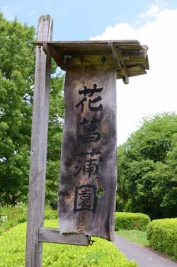 公園の中にある古い木で作られた花菖蒲園の看板の写真