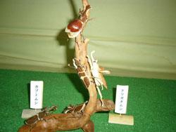竹とどんぐりで作られたカブトムシとクワガタムシの写真