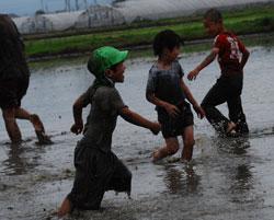 泥田の中を歩く子供の写真
