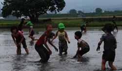 泥まみれになりながら泥田で遊んでいる子供たちの写真